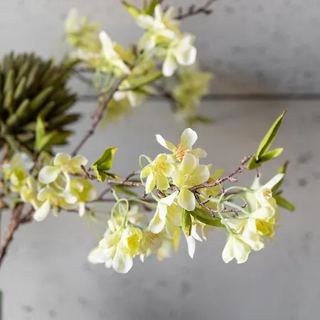 Park - Old Town Apartment *