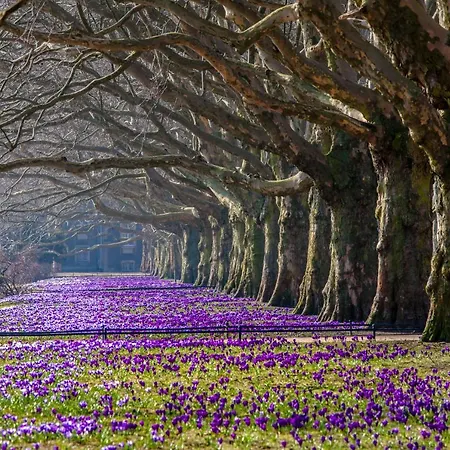 Park - Old Town * Szczecin
