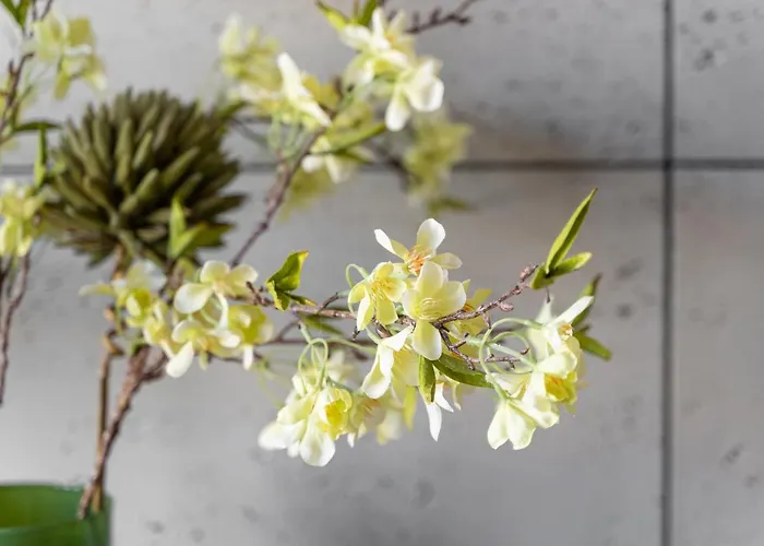 Park - Old Town Apartment *